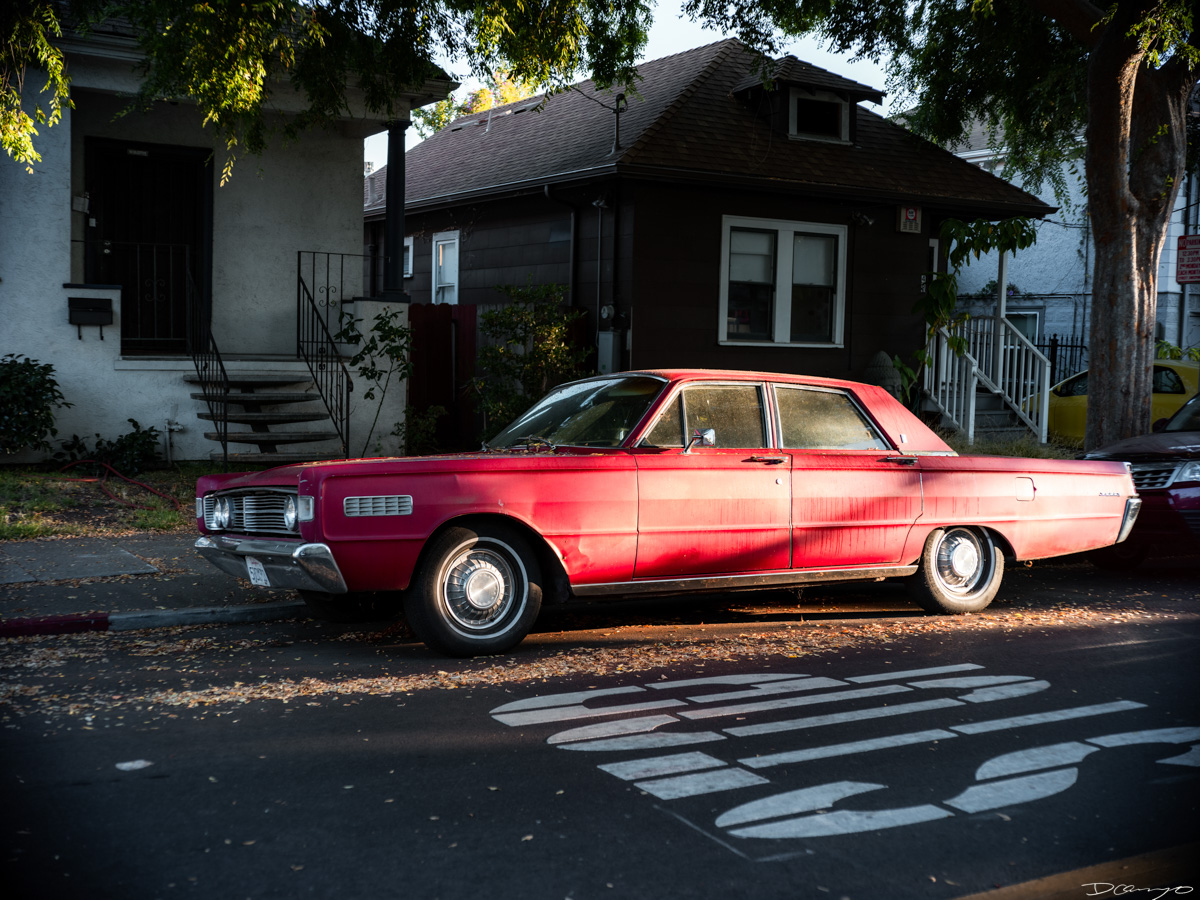 Pretty things that I wanted to take pictures of around Berkeley in 2023.